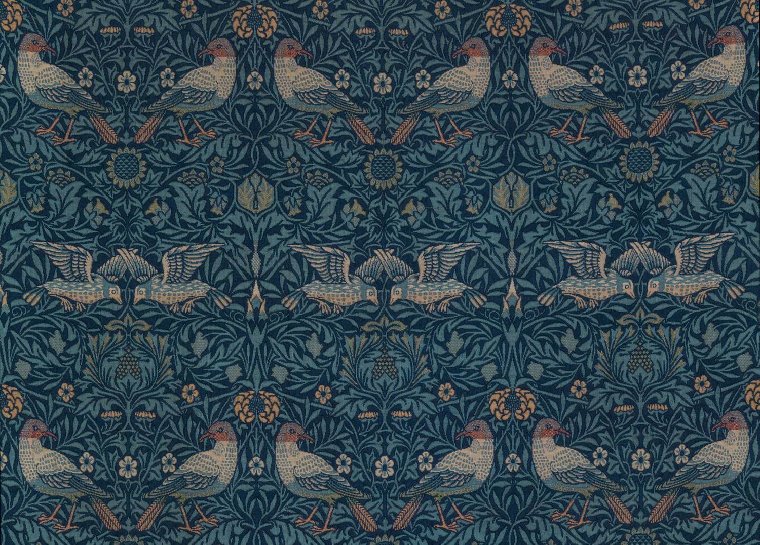 Lazy loaded image
